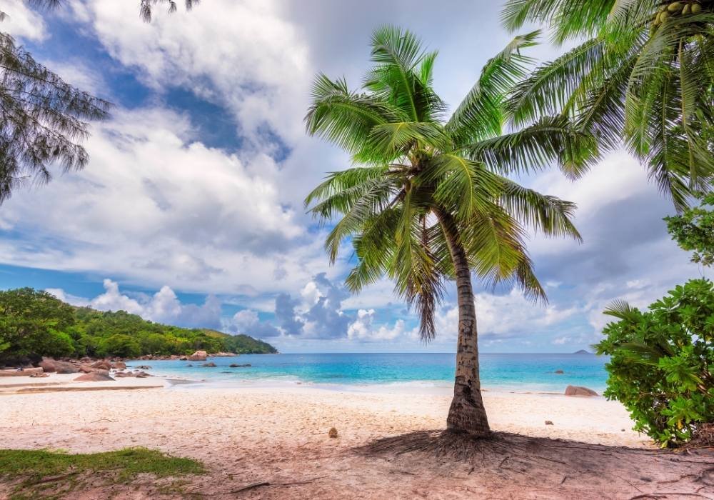 Goa Beach Travel Guide