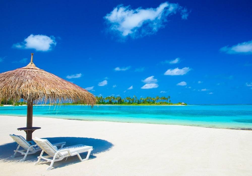 Baga Beach Travel Guide